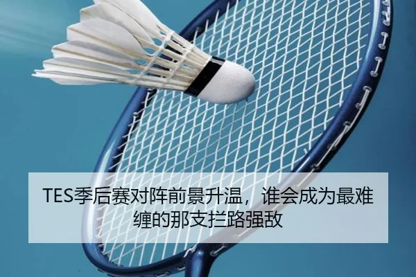 TES季后赛对阵前景升温，谁会成为最难缠的那支拦路强敌 - bet365 Sportsbook